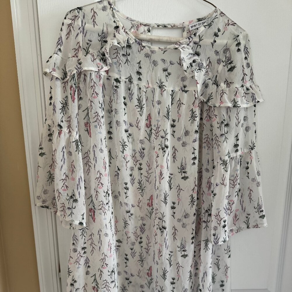 Pretty Sheer Dress